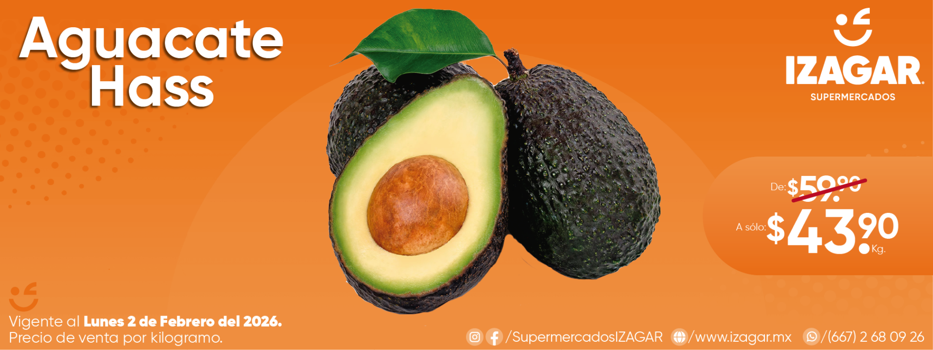 AGUACATE HASS-01