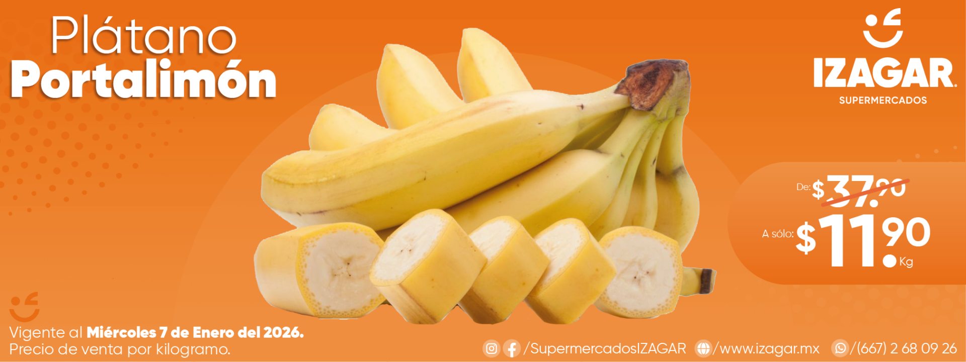 PLÁTANO PORTALIMÓN-01