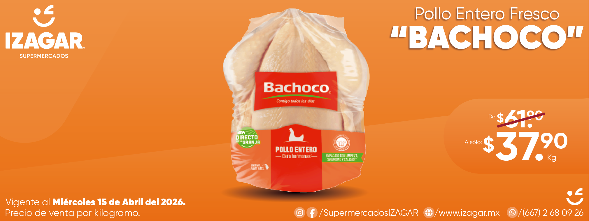 POLLO ENTERO FRESCO BACHOCO