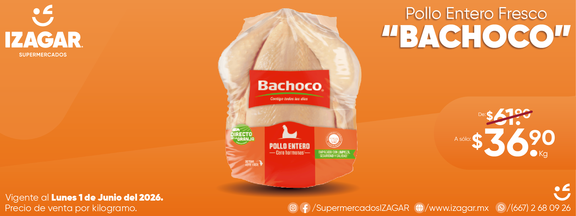 POLLO ENTERO FRESCO BACHOCO