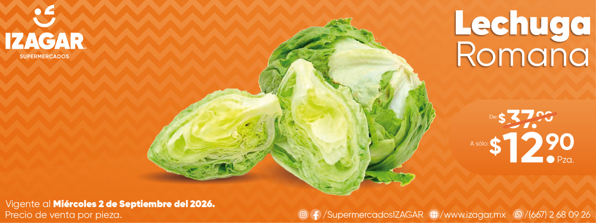 LECHUGA ROMANA
